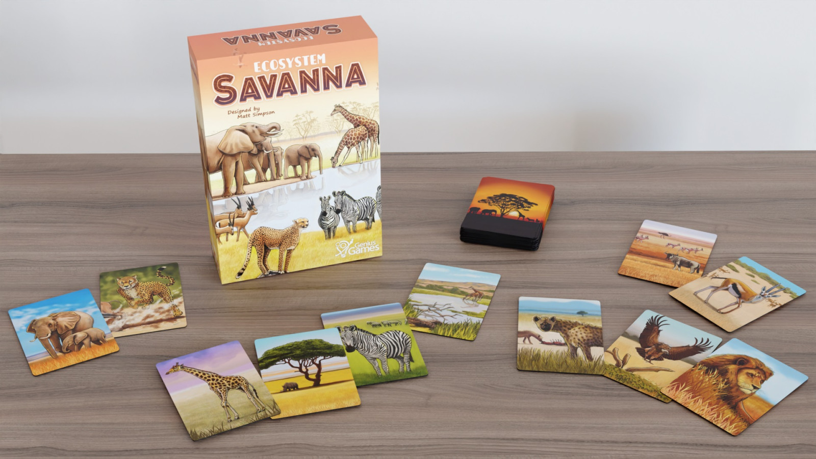Ecosystem : Savanna